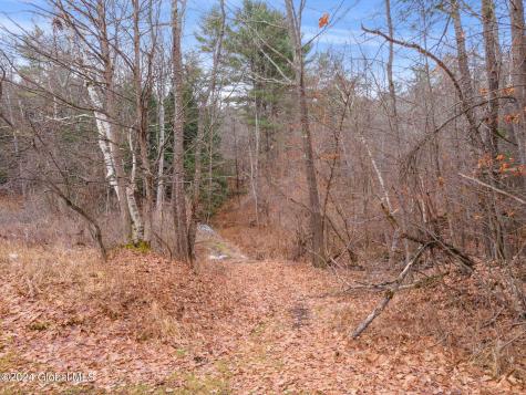 L18.1 Engle Road Schoharie NY 12157