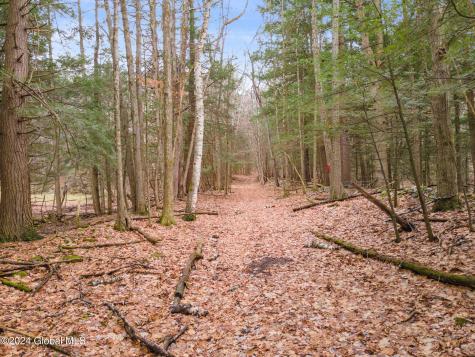 L18.1 Engle Road Schoharie NY 12157