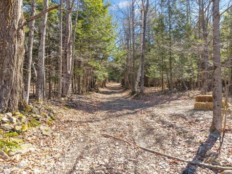 L18.1 Engle Road Schoharie NY 12157