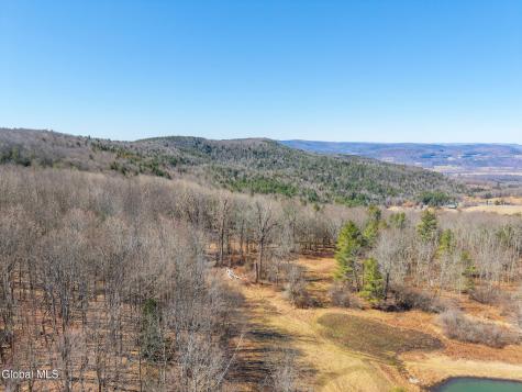 L18.1 Engle Road Schoharie NY 12157