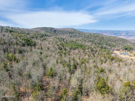 L18.1 Engle Road Schoharie NY 12157