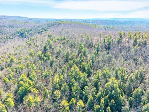 L18.1 Engle Road Schoharie NY 12157