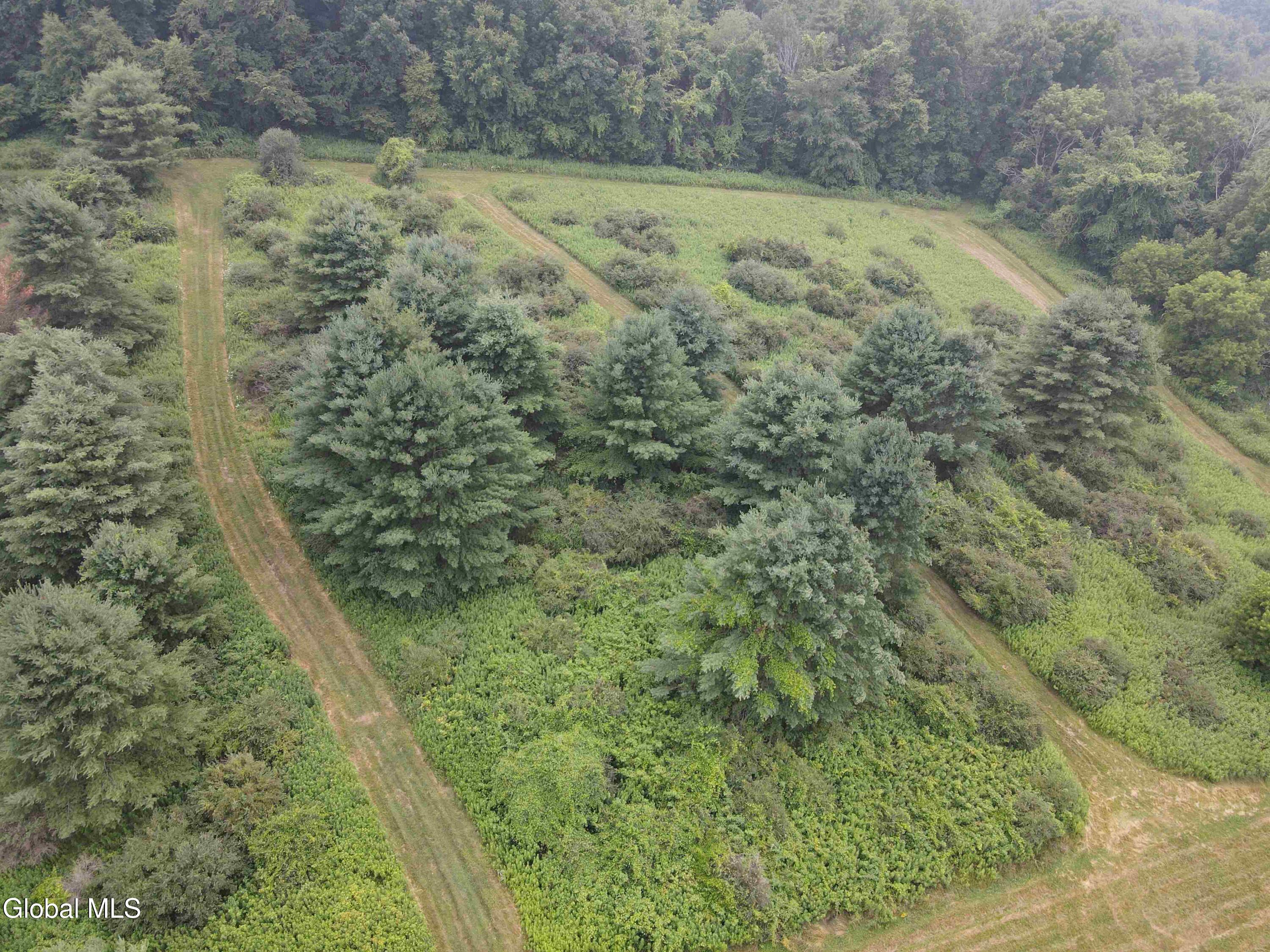 202 Eagle Bridge Road Eagle Bridge NY 12057