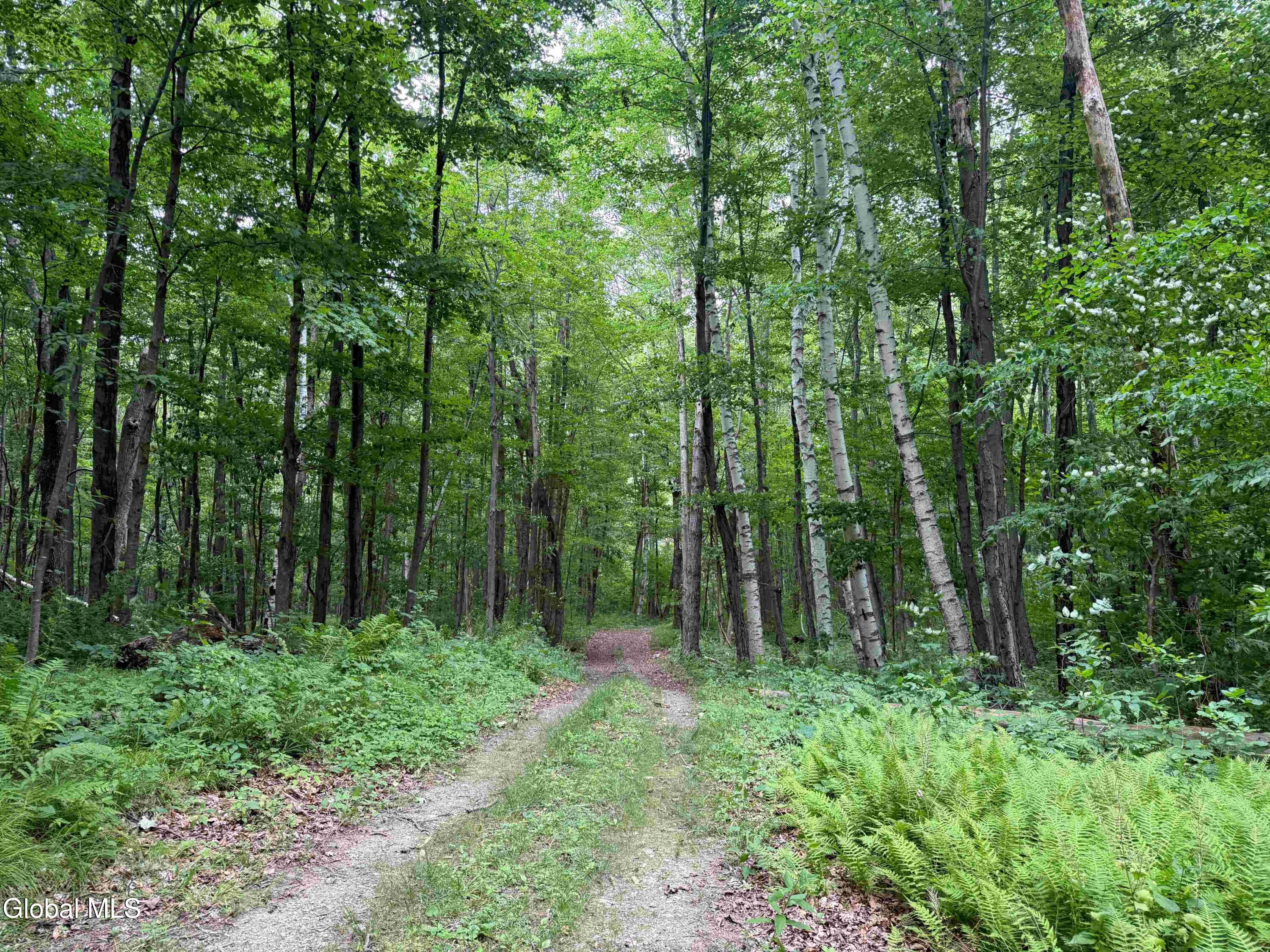 202 Eagle Bridge Road Eagle Bridge NY 12057