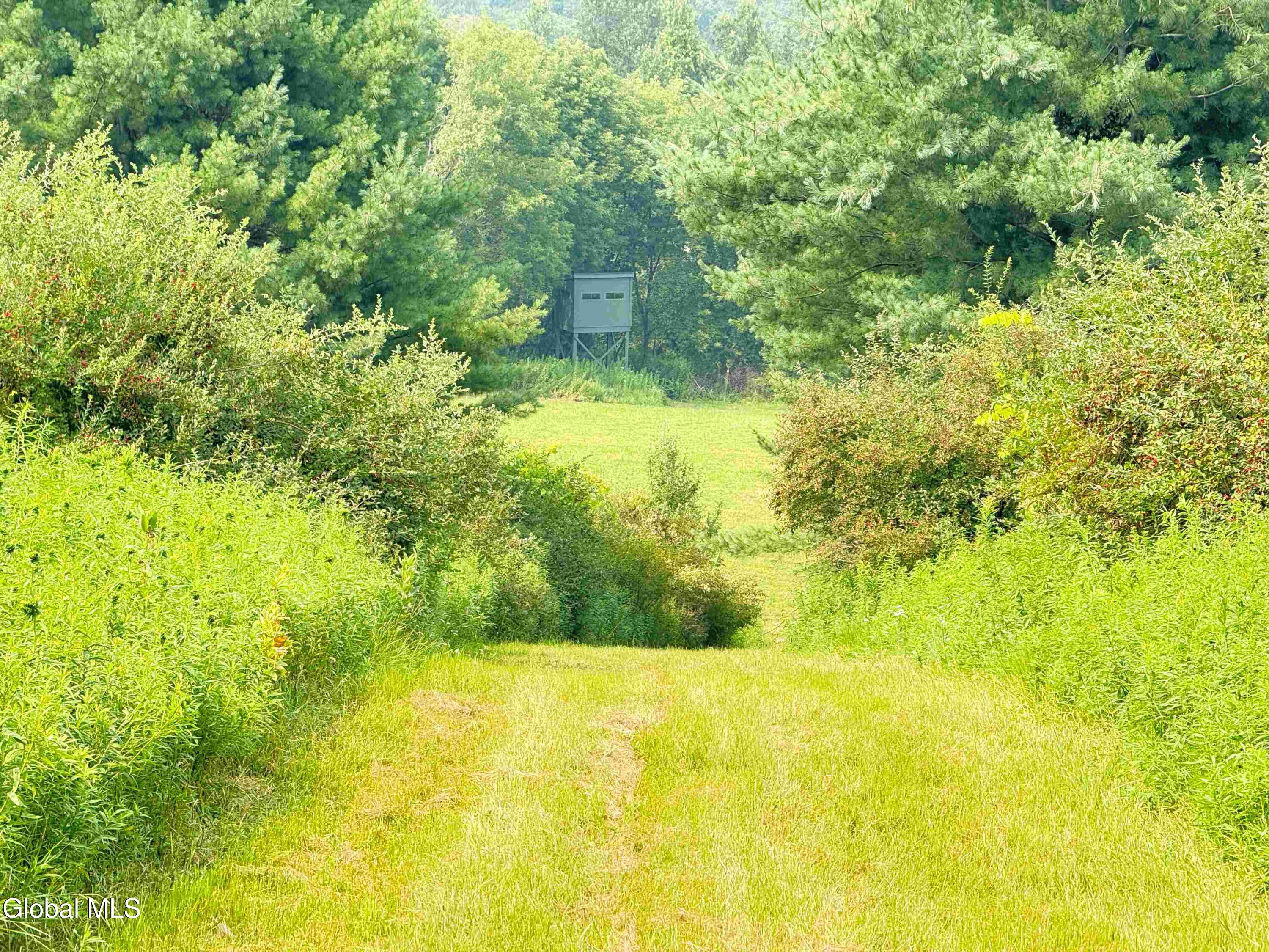 202 Eagle Bridge Road Eagle Bridge NY 12057
