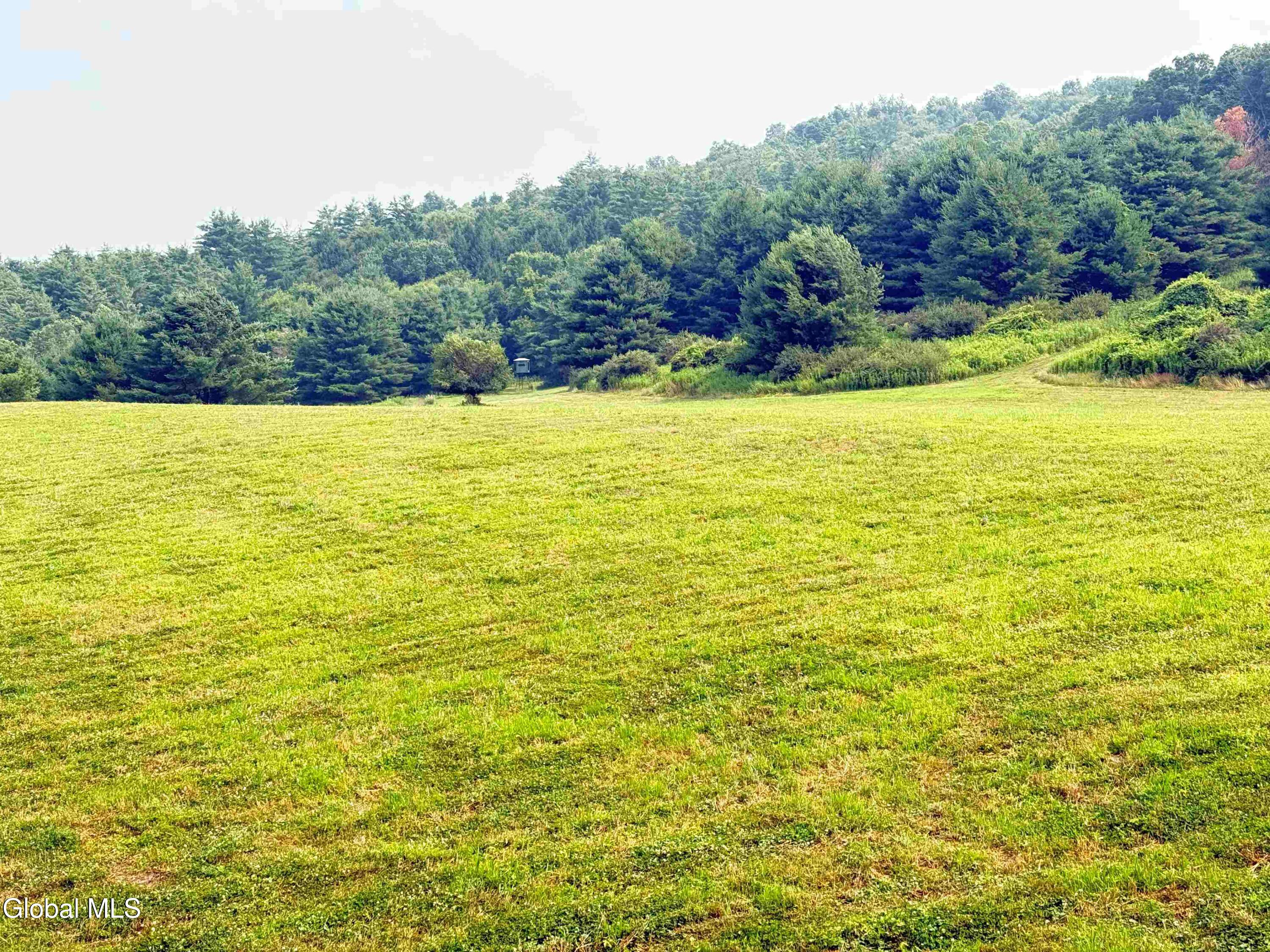 202 Eagle Bridge Road Eagle Bridge NY 12057