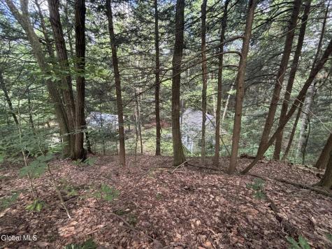 276 E Hill Road Austerlitz NY 12017