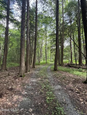 276 E Hill Road Austerlitz NY 12017