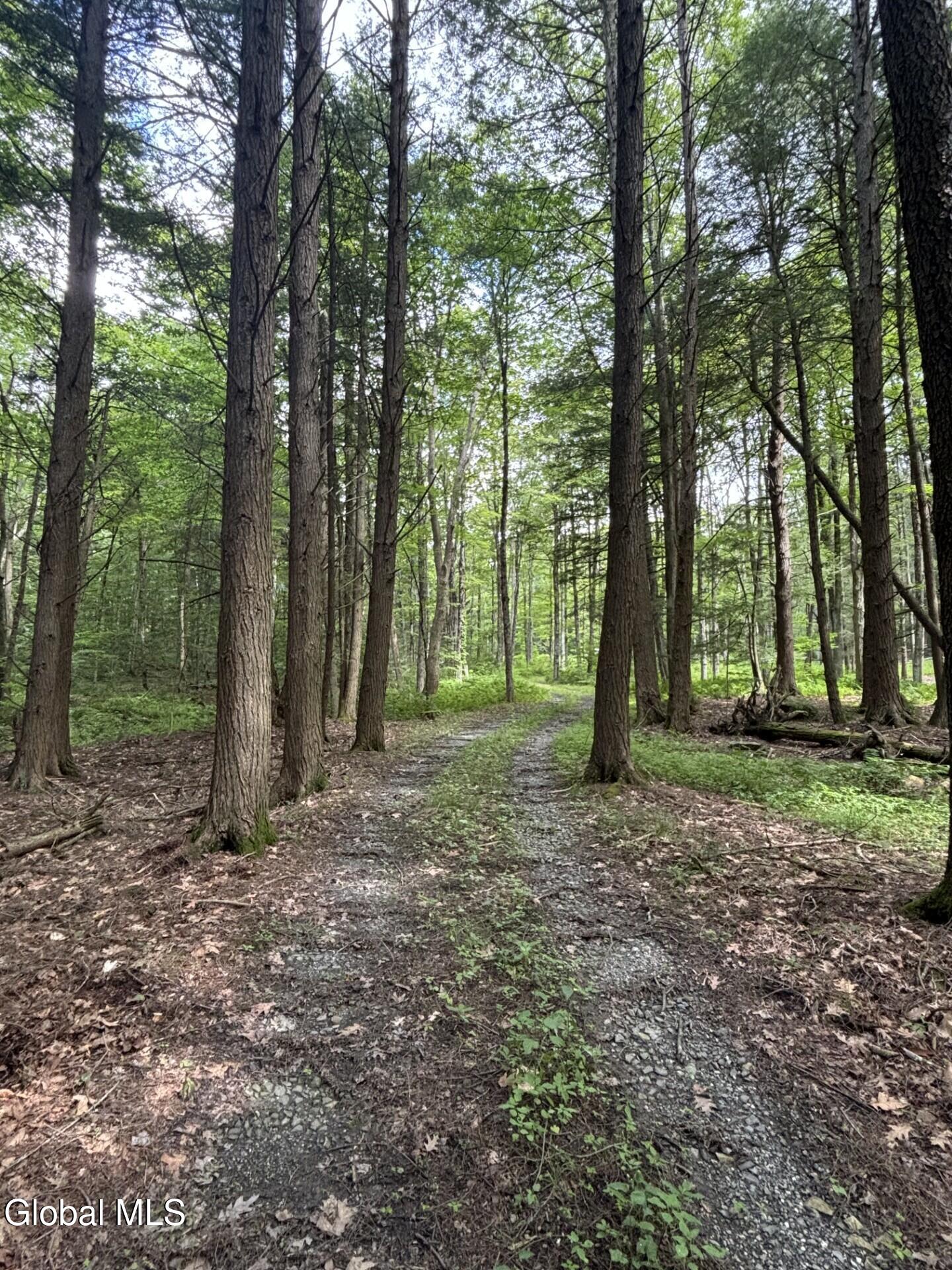 276 E Hill Road Austerlitz NY 12017