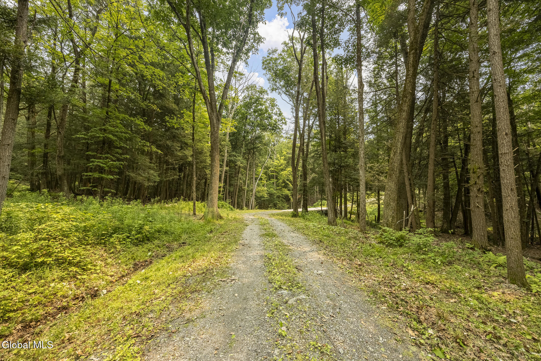 276 E Hill Road Austerlitz NY 12017