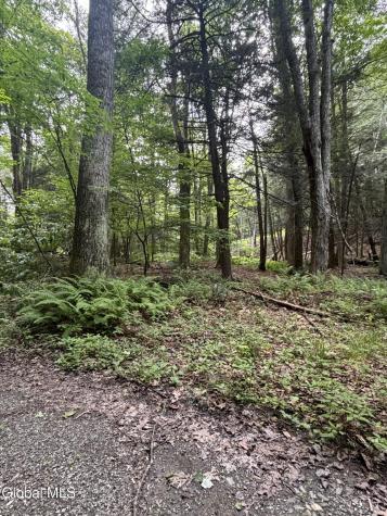 276 E Hill Road Austerlitz NY 12017