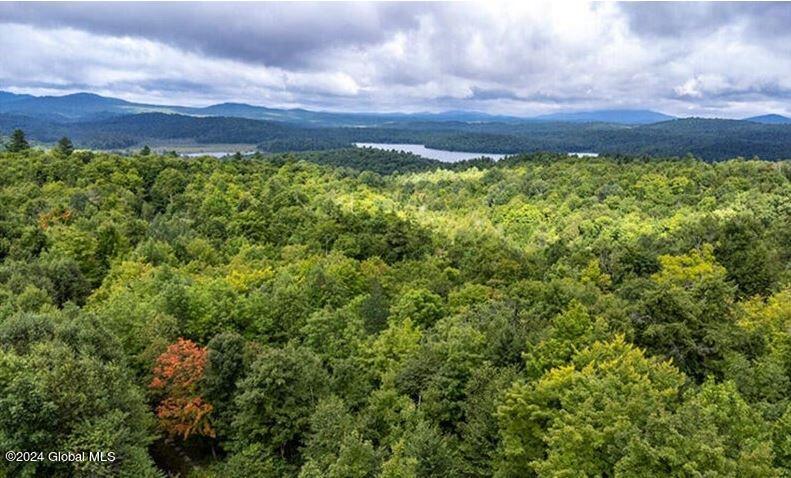 L9.000 Palisade Parkway Saranac Lake NY 12983
