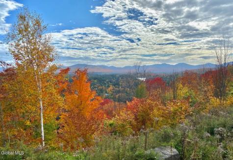 L9.000 Palisade Parkway Saranac Lake NY 12983