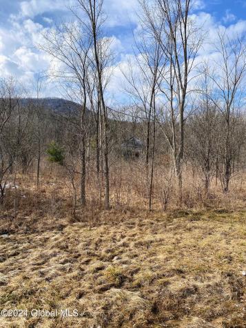 890 Altamont Road Altamont NY 12009