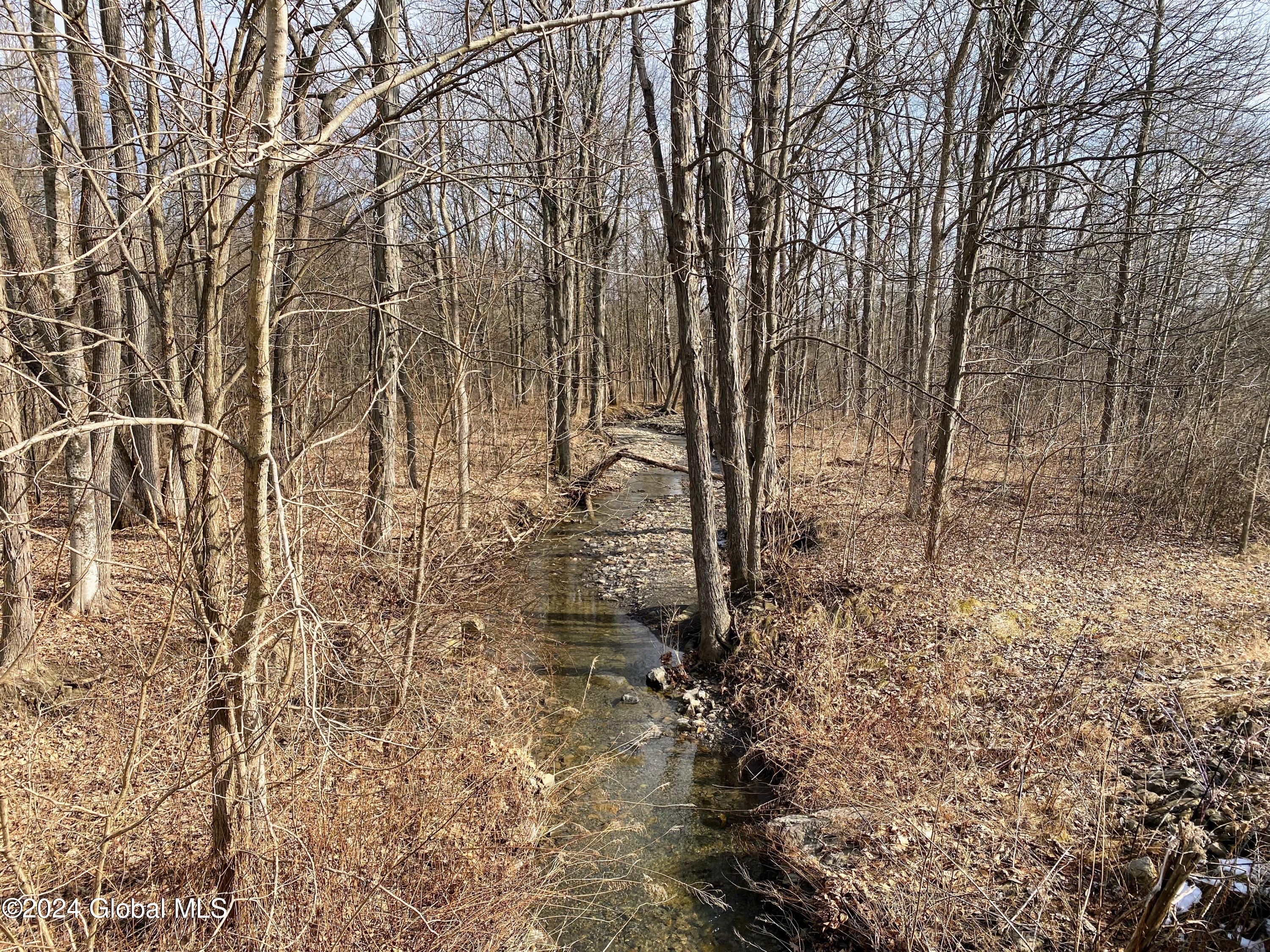 890 Altamont Road Altamont NY 12009