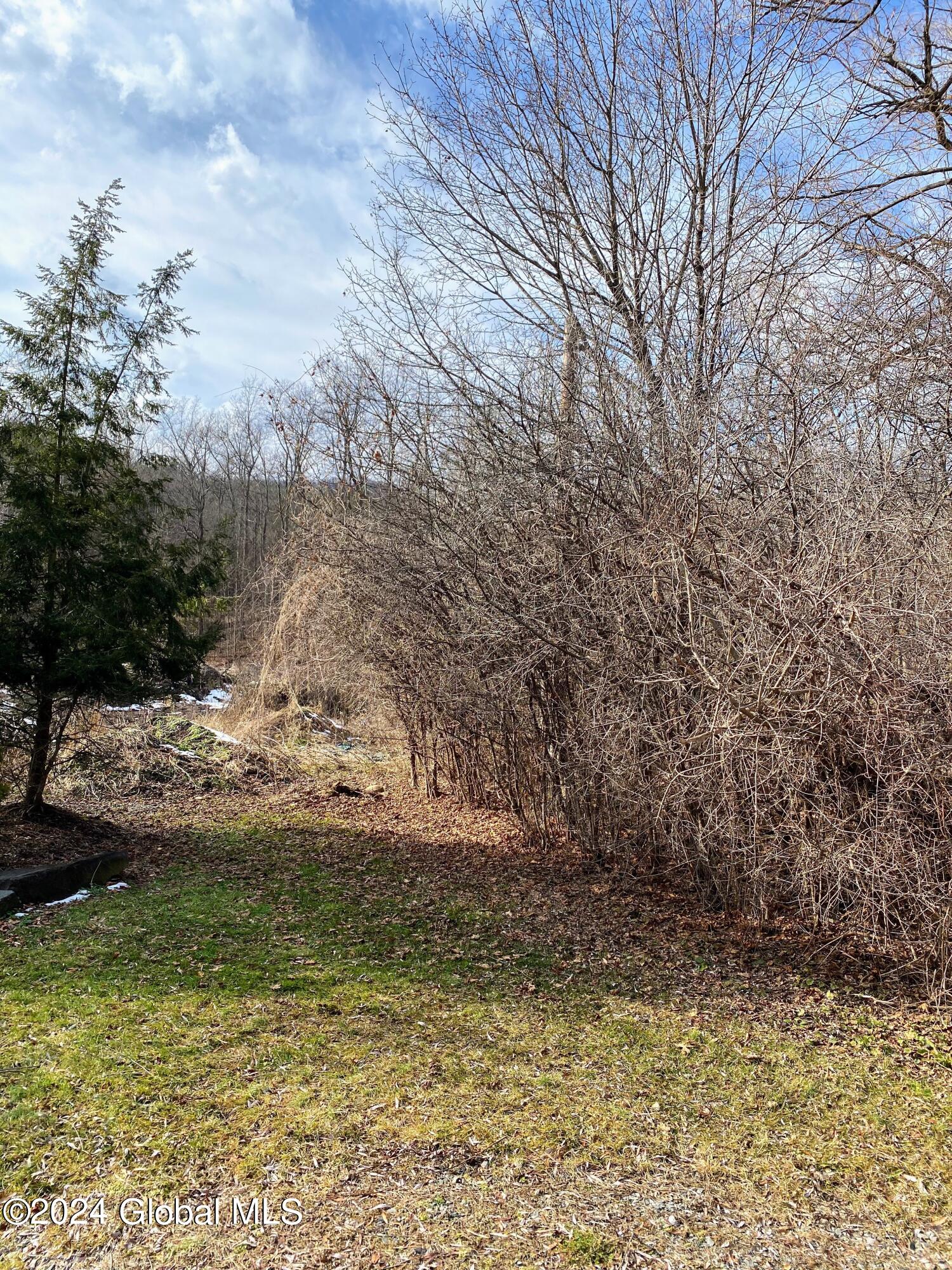 890 Altamont Road Altamont NY 12009