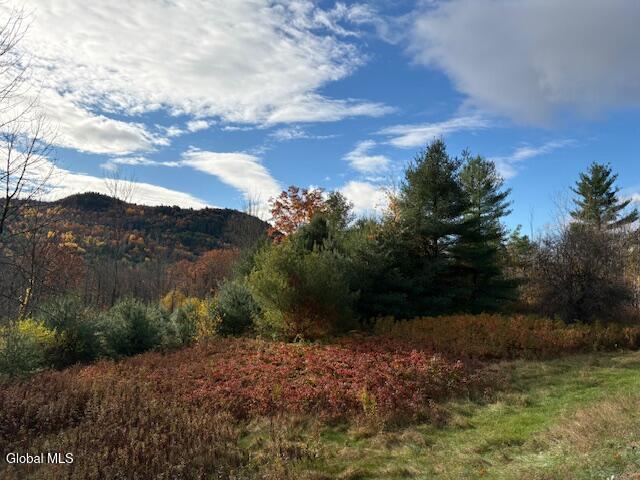 954C Route 9n Ausable Forks NY 12912
