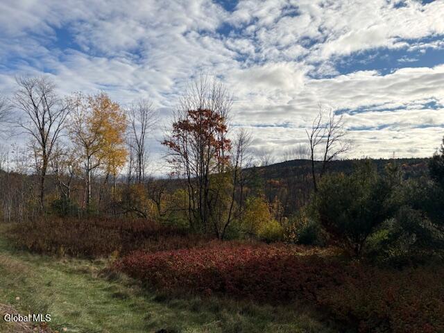954C Route 9n Ausable Forks NY 12912