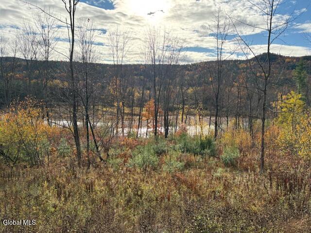954C Route 9n Ausable Forks NY 12912
