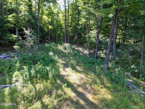 L39 Off Flowers Way Long Lake NY 12847