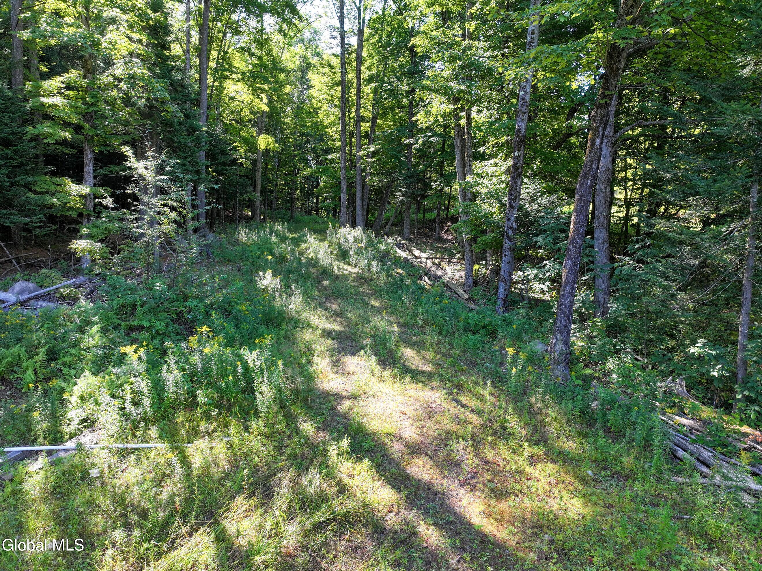 L39 Off Flowers Way Long Lake NY 12847