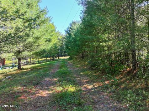 L39 Off Flowers Way Long Lake NY 12847