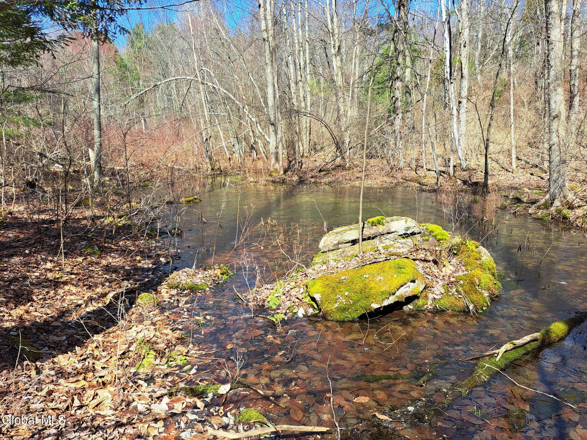 L68 State Route 149/off Granville NY 12832