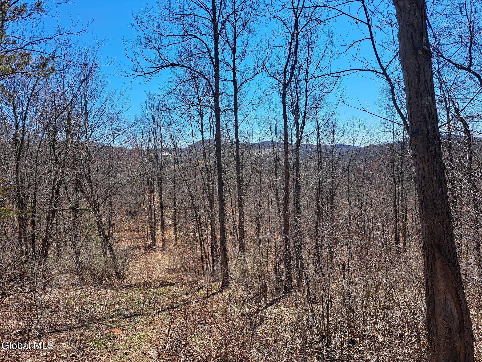L68 State Route 149/off Granville NY 12832