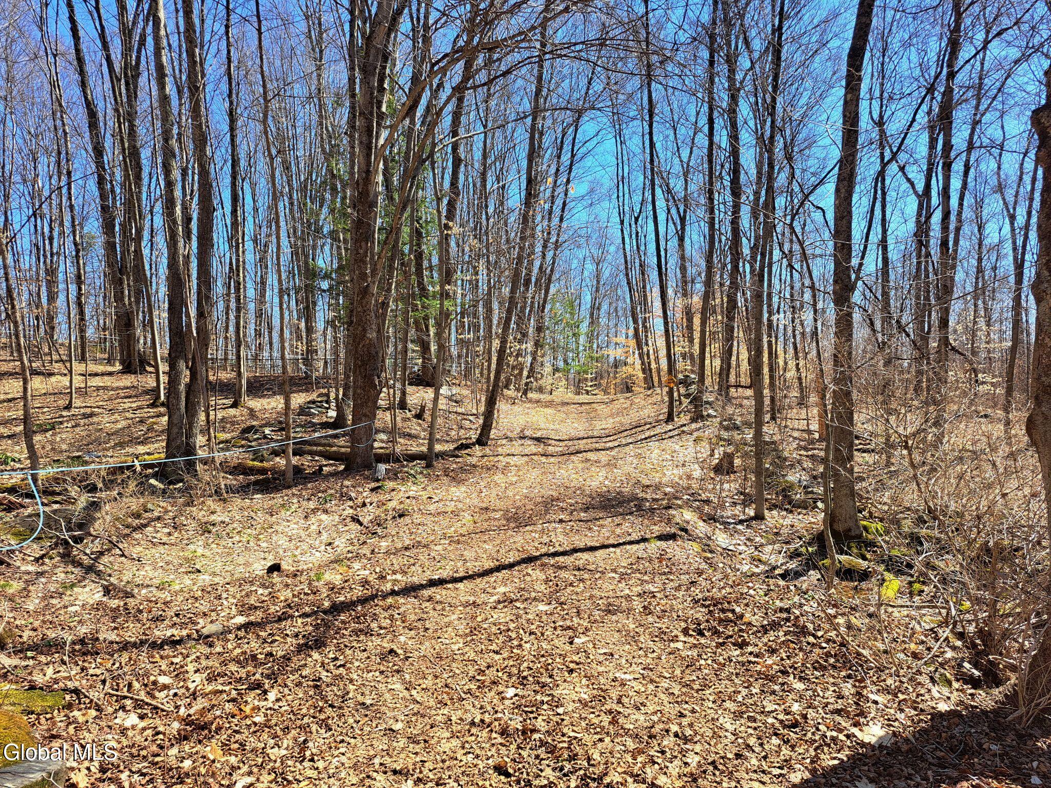 L68 State Route 149/off Granville NY 12832