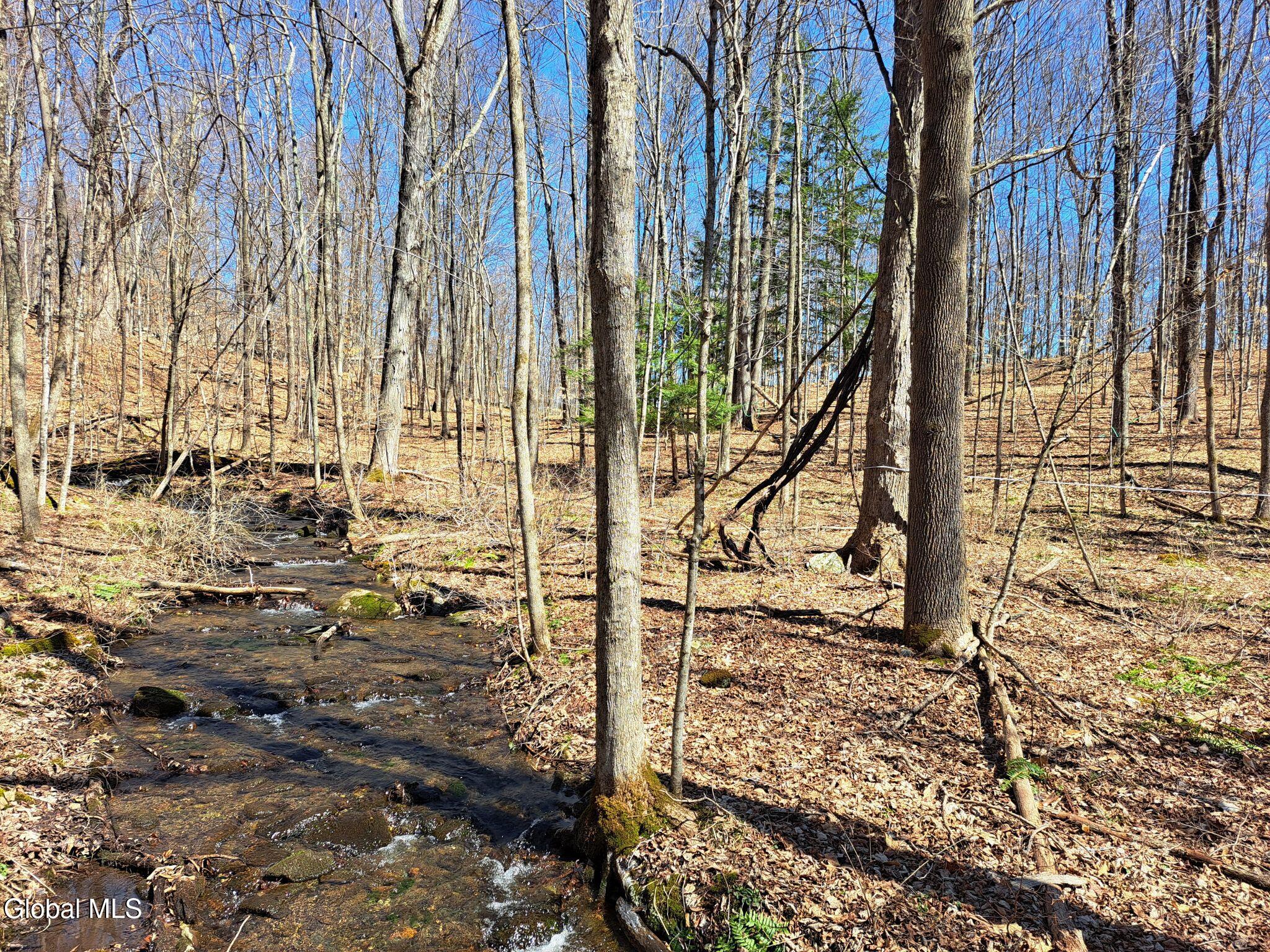 L68 State Route 149/off Granville NY 12832
