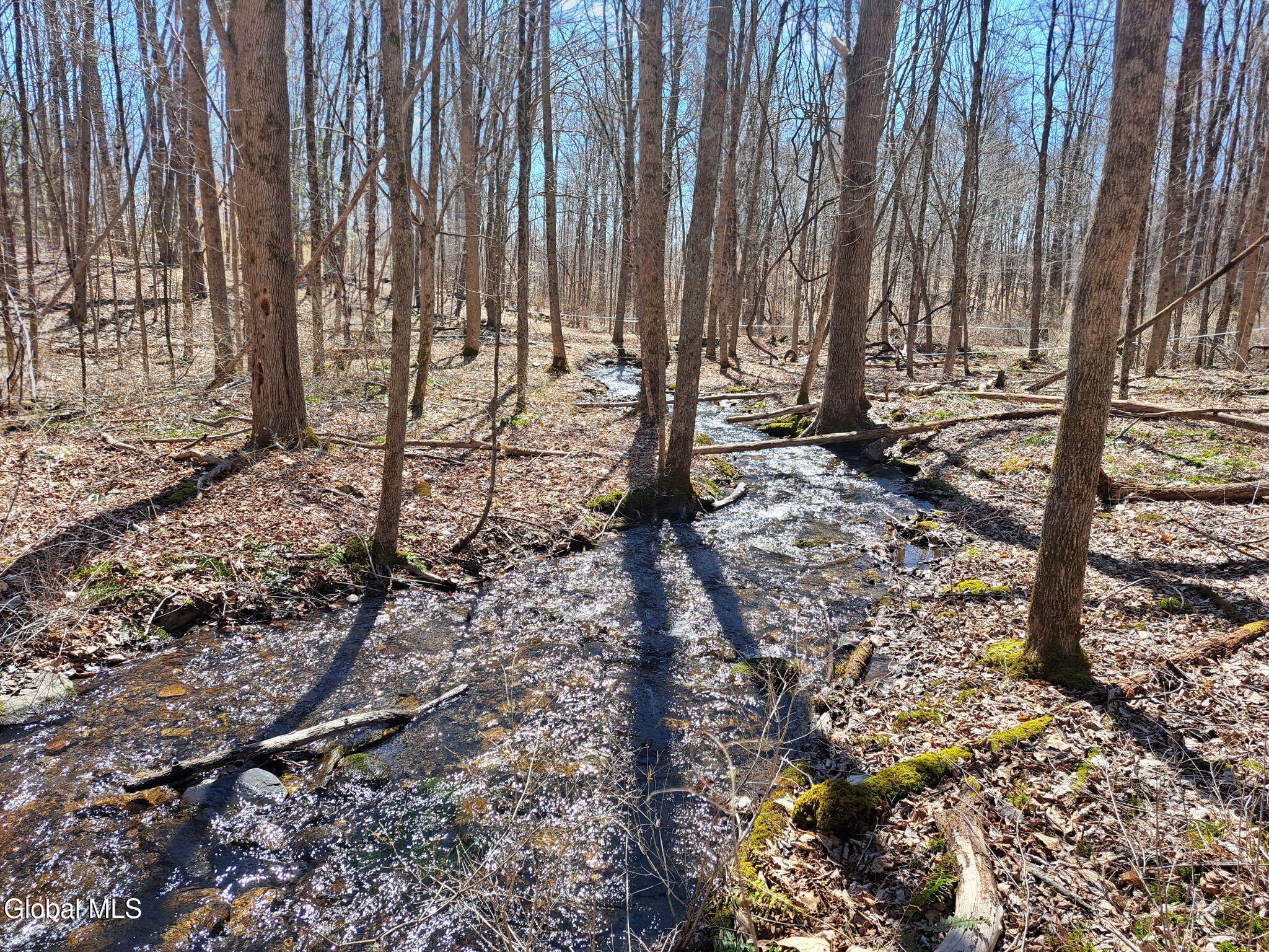 L68 State Route 149/off Granville NY 12832