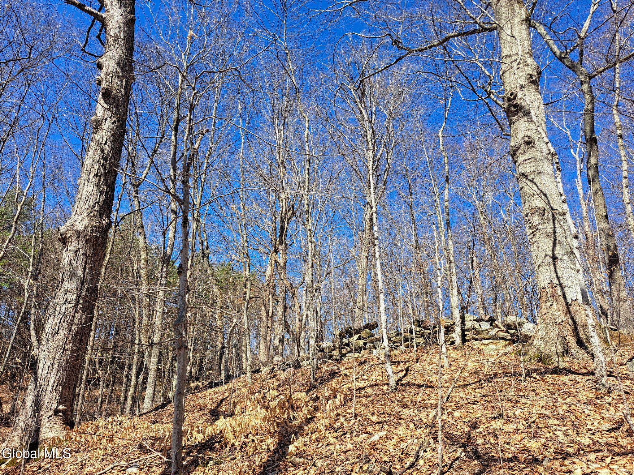 L68 State Route 149/off Granville NY 12832
