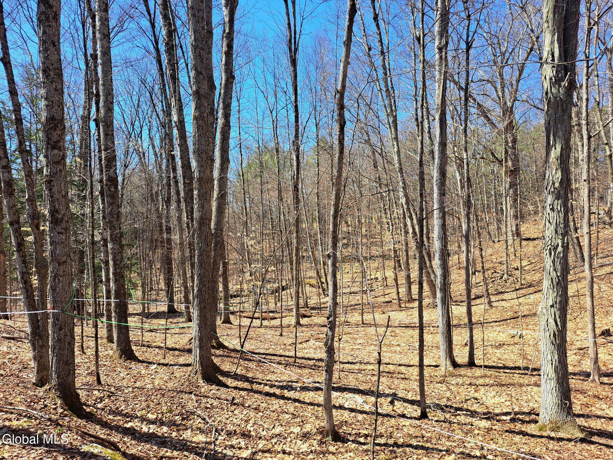 L68 State Route 149/off Granville NY 12832