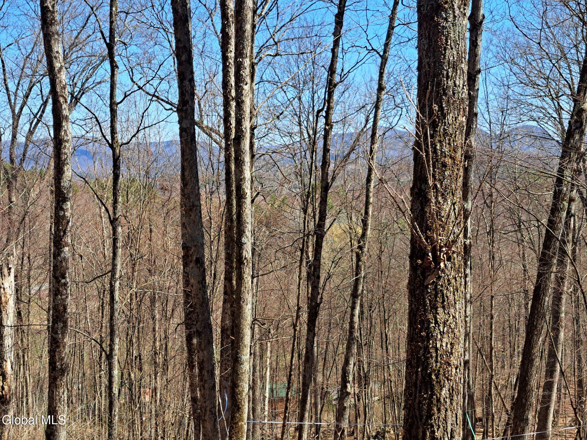L68 State Route 149/off Granville NY 12832