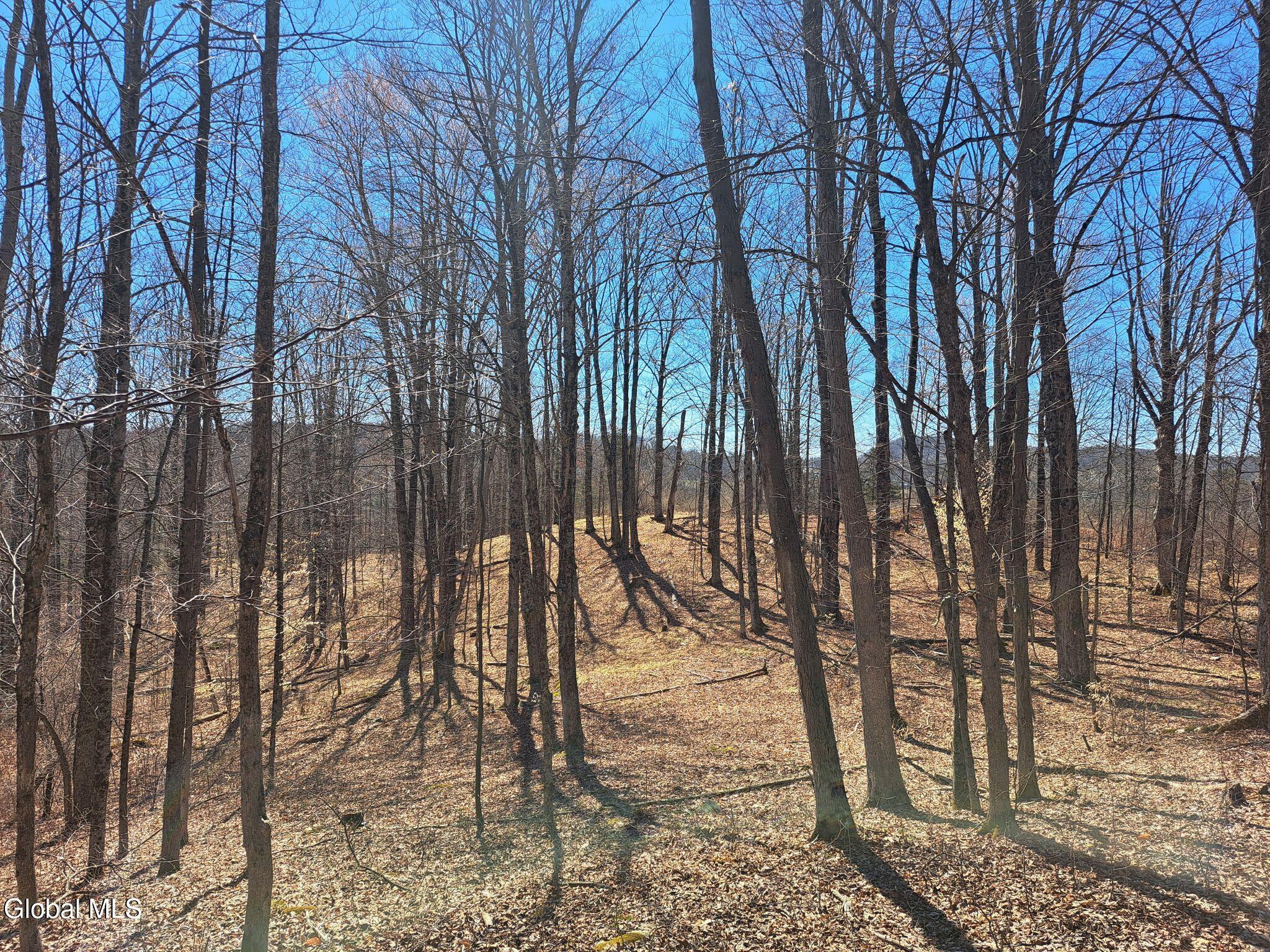 L68 State Route 149/off Granville NY 12832