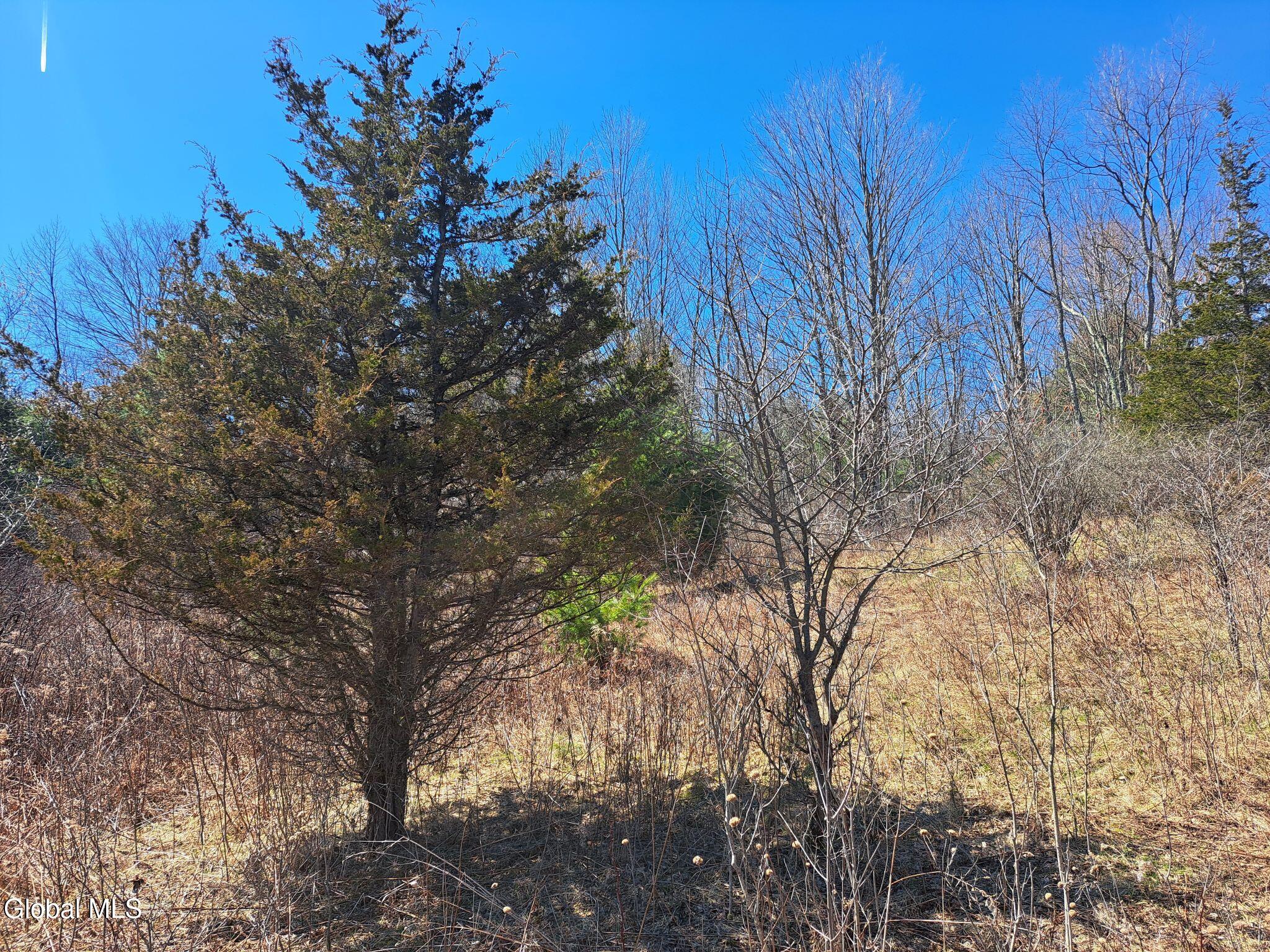 L68 State Route 149/off Granville NY 12832