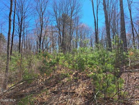 L68 State Route 149/off Granville NY 12832