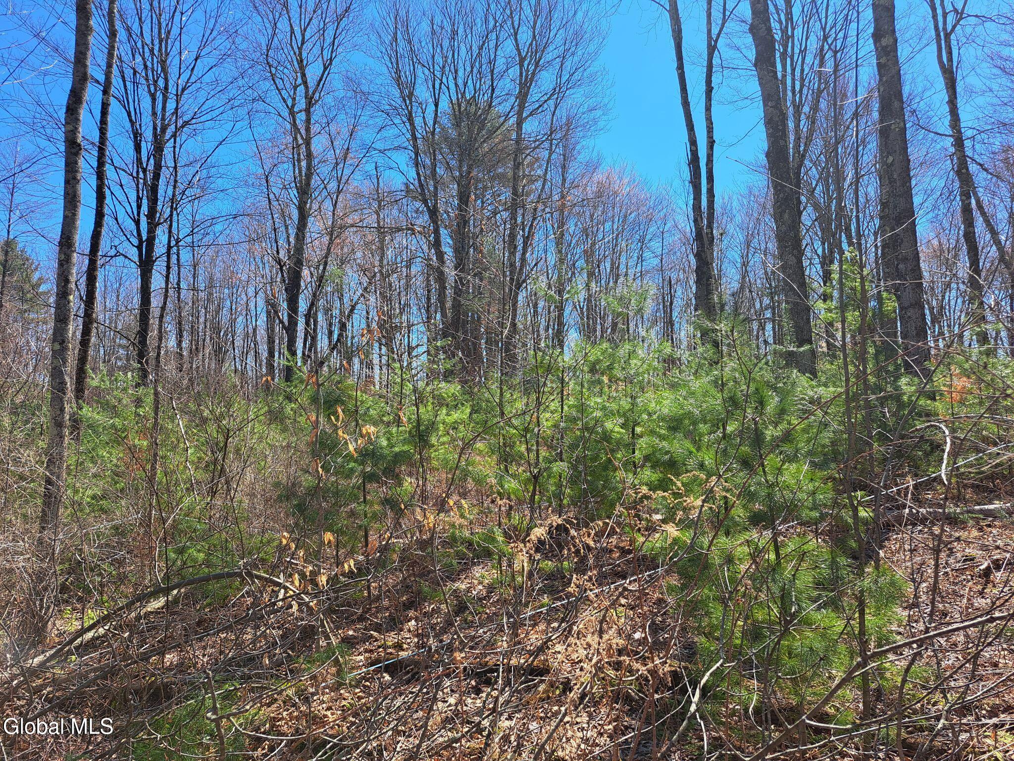 L68 State Route 149/off Granville NY 12832