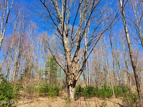 L68 State Route 149/off Granville NY 12832
