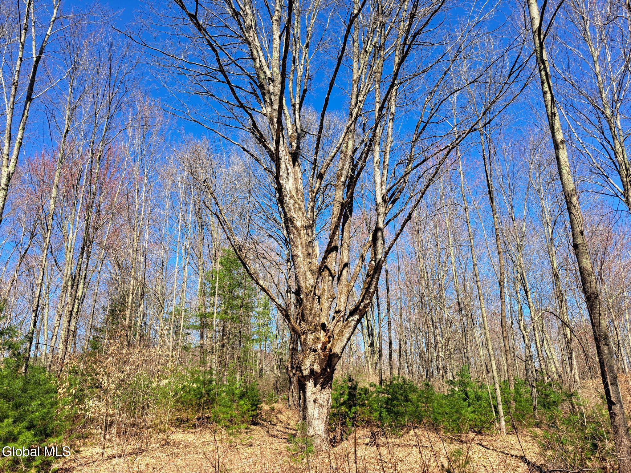 L68 State Route 149/off Granville NY 12832
