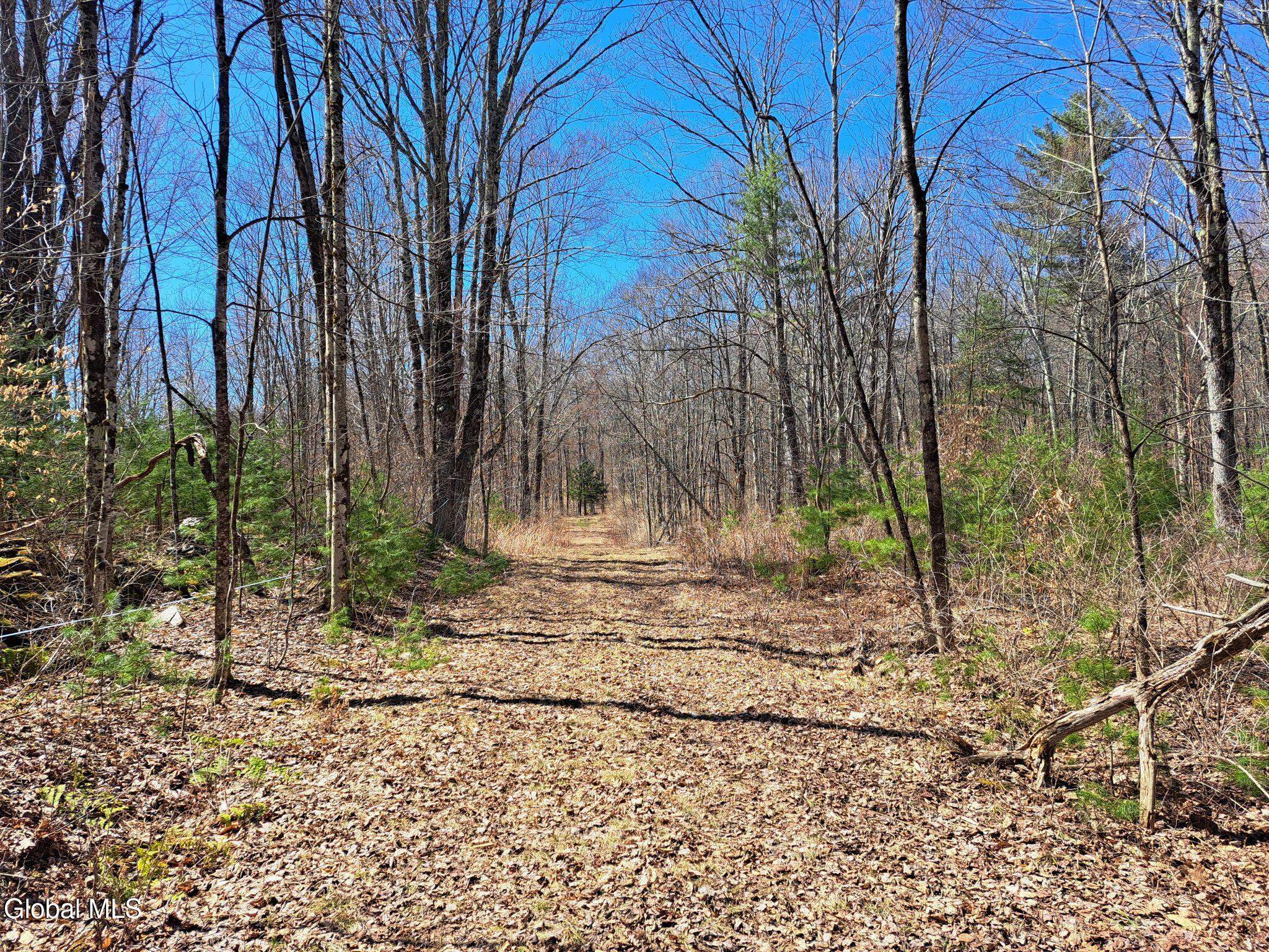 L68 State Route 149/off Granville NY 12832