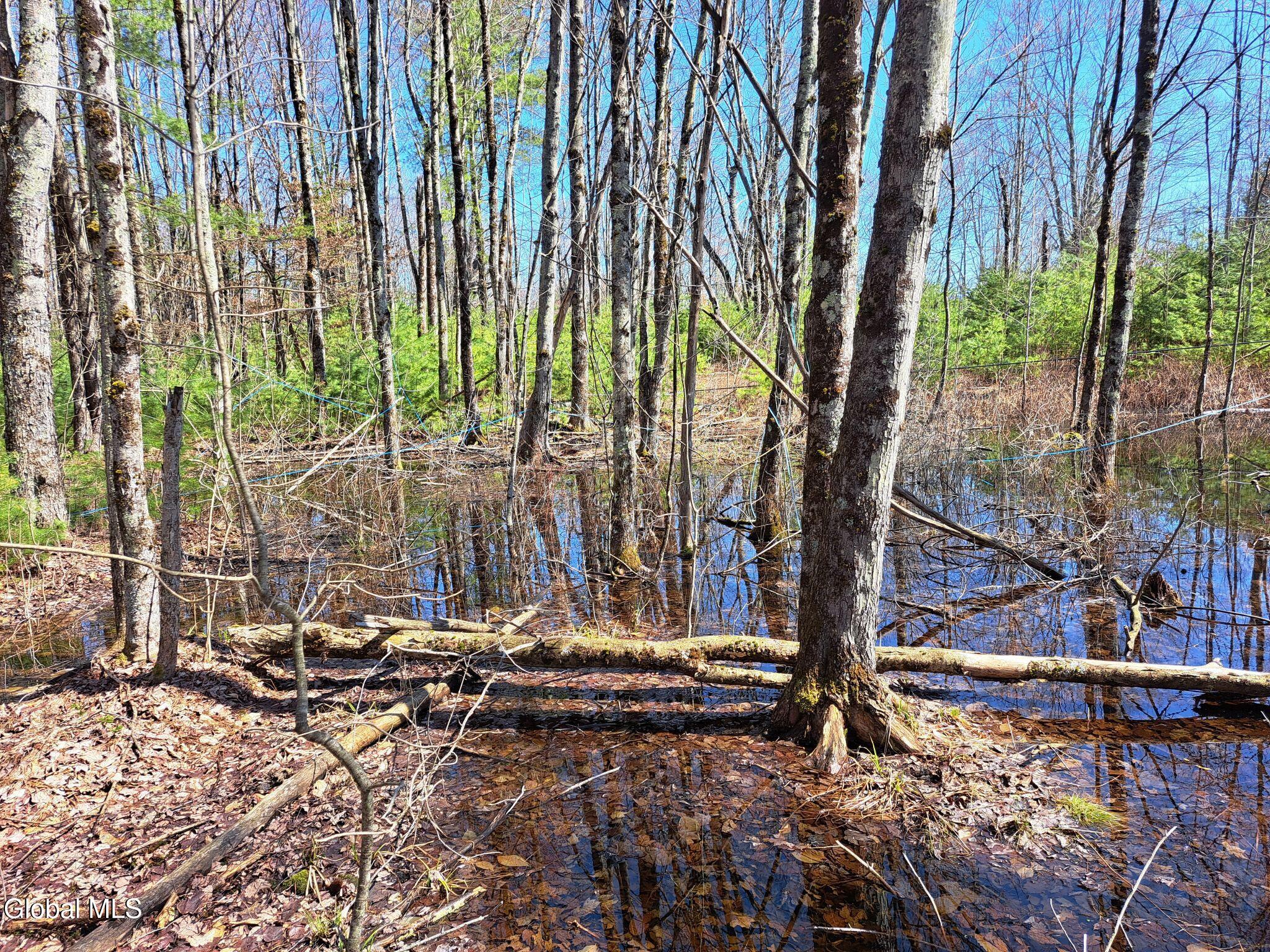 L68 State Route 149/off Granville NY 12832