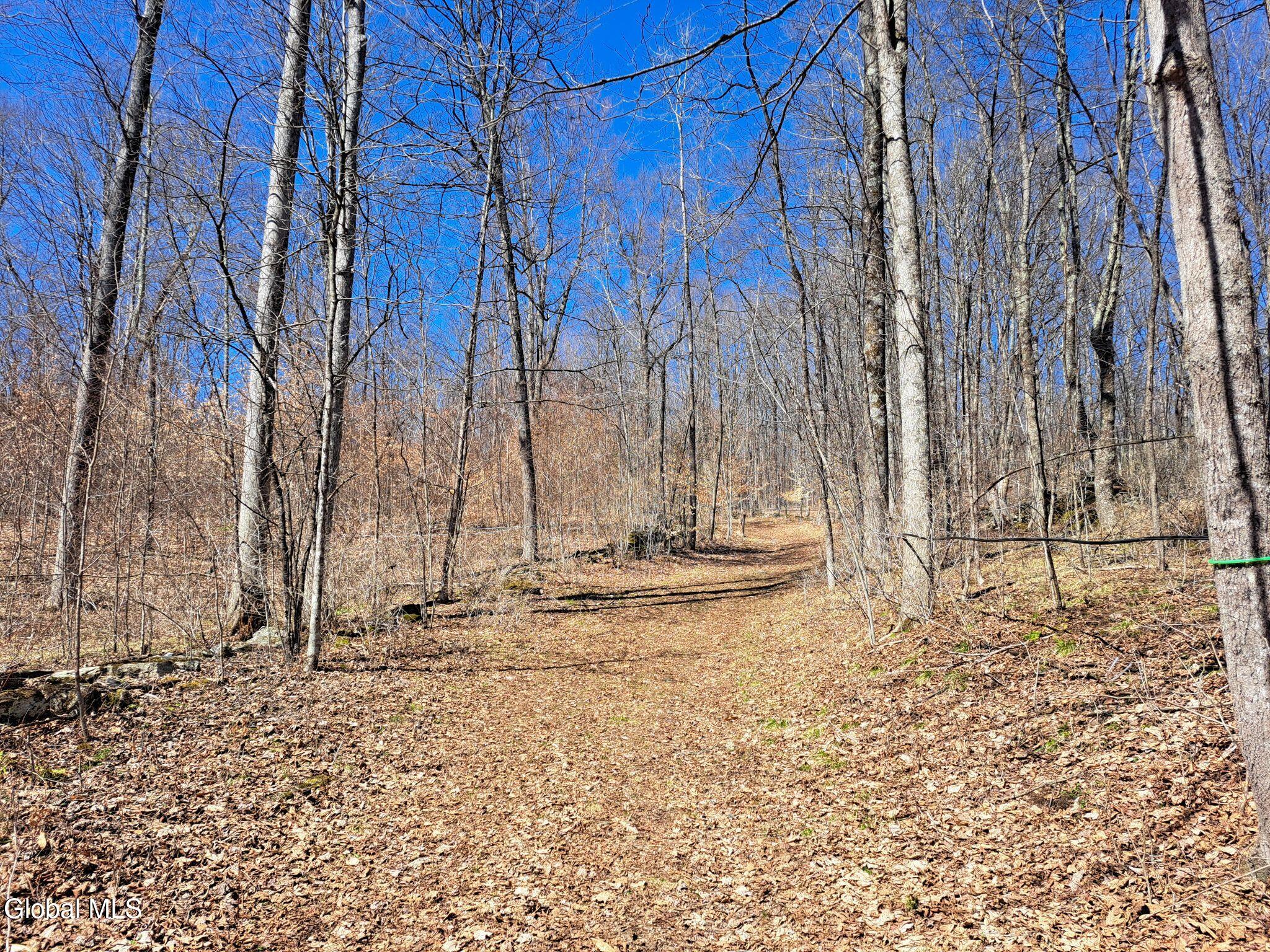 L68 State Route 149/off Granville NY 12832