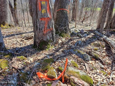L68 State Route 149/off Granville NY 12832