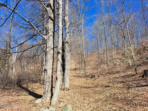 L68 State Route 149/off Granville NY 12832