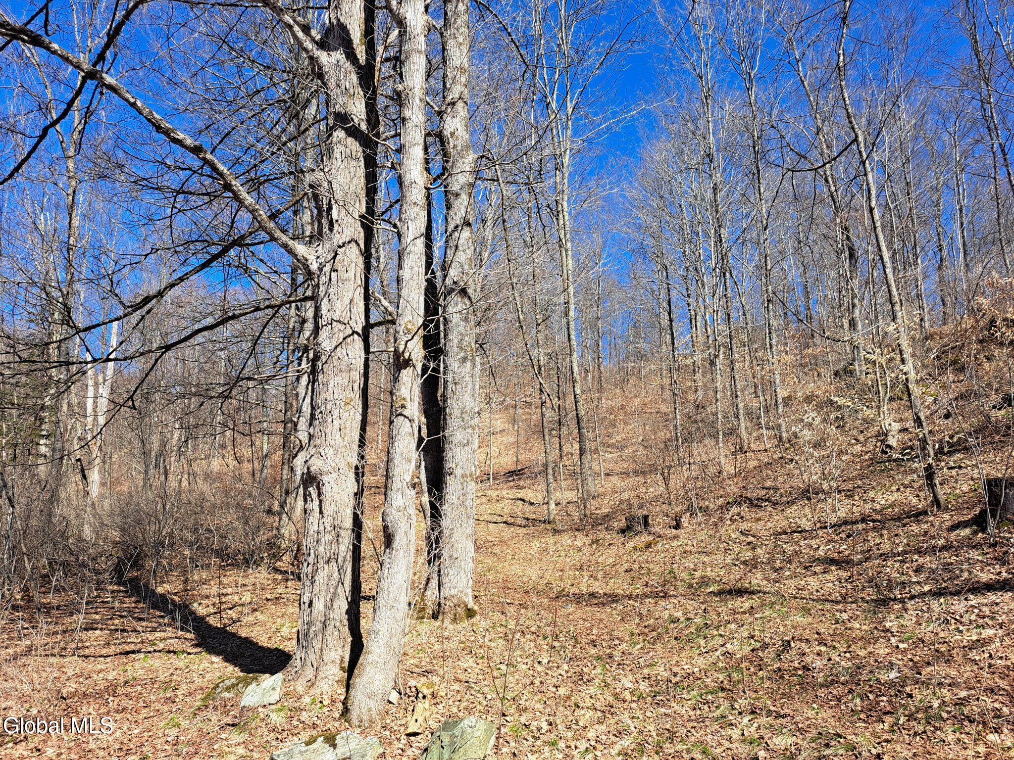 L68 State Route 149/off Granville NY 12832