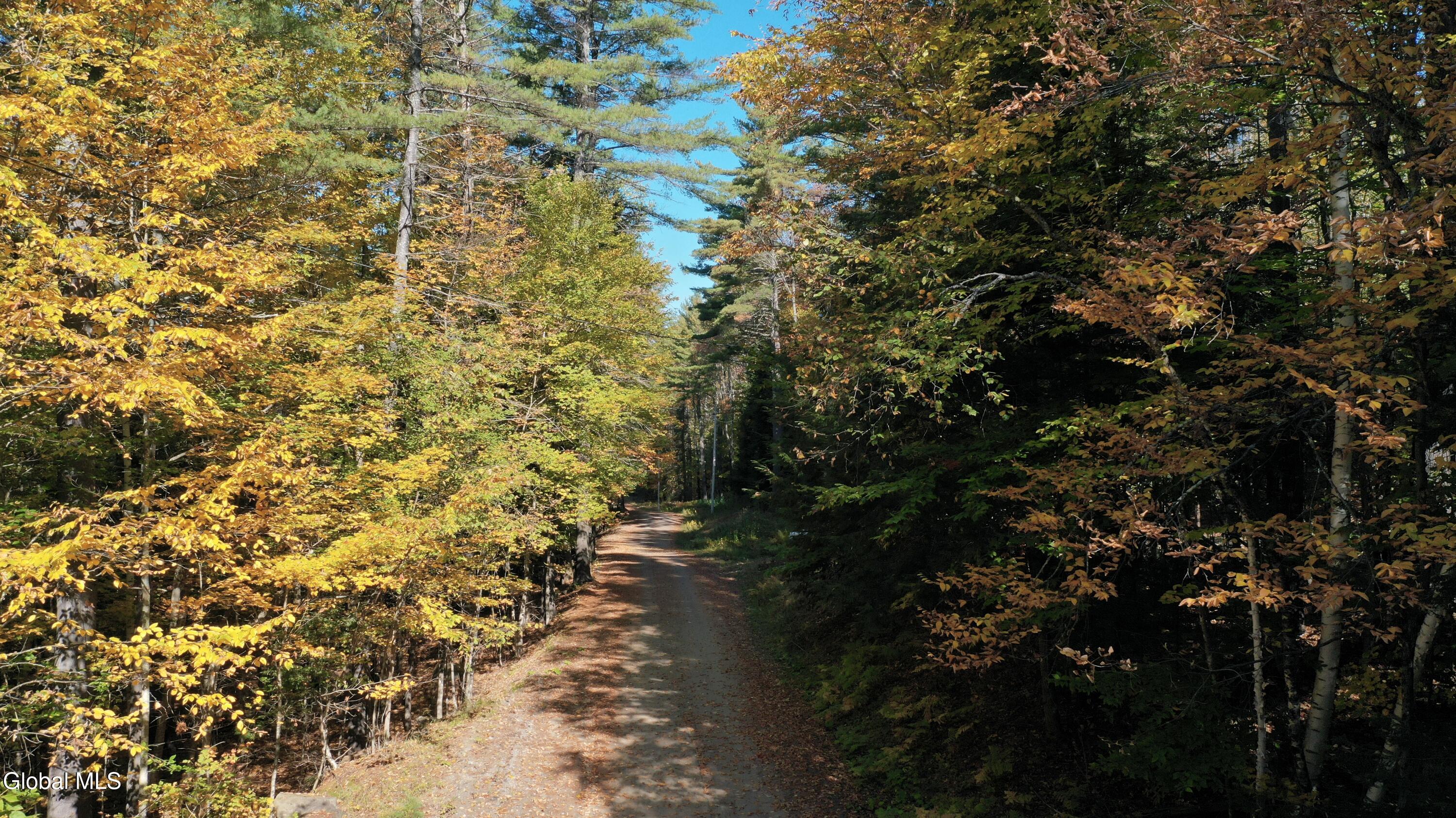 173 Cleveland Road Johnsburg NY 12843