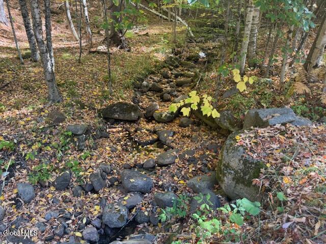 173 Cleveland Road Johnsburg NY 12843