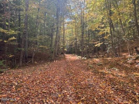 173 Cleveland Road Johnsburg NY 12843
