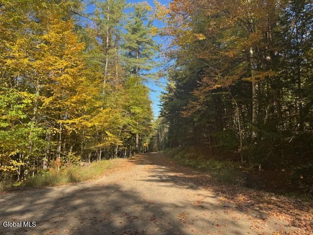 173 Cleveland Road Johnsburg NY 12843